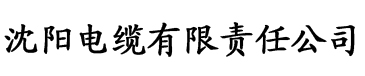 91污污视频在线观看电缆厂logo